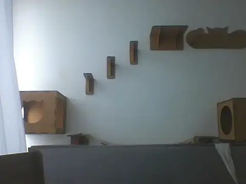 Temp7 online show from February 2026 01:23:01 PM