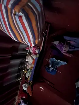 Rico123san online show from November 2025 04:00:01 PM