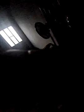 277T online show from December 2025 04:21:01 AM