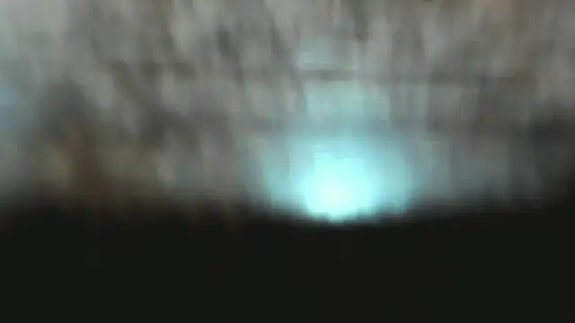 Izelevans online show from January 2026 12:43:02 PM