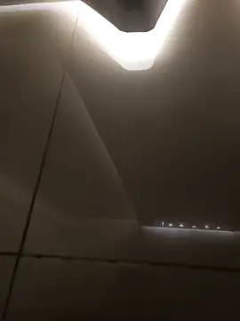 Vanhohenhein online show from November 2025 03:01:01 PM