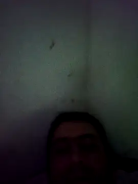 arz85001 online show from November 2025 11:54:01 AM