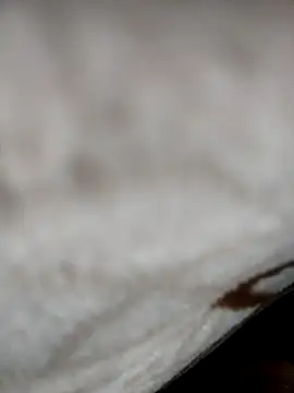 jiniya6789 online show from January 2026 06:11:01 PM