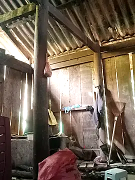 Lily-ross22 online show from November 2025 05:07:02 AM