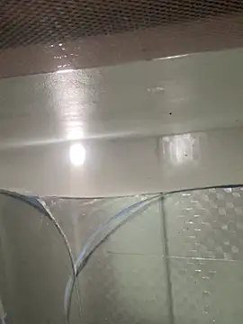 muti99 online show from February 2026 12:52:01 PM