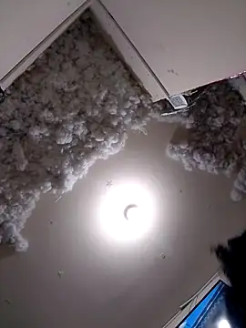 4ikoou37 online show from November 2025 10:44:02 PM