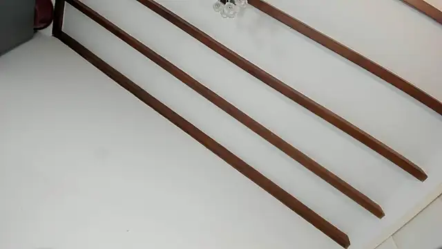 IsaSantoDomingo online show from January 2026 10:58:02 PM