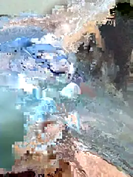 Harry254238 online show from January 2026 05:38:02 PM