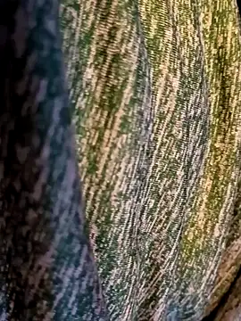 Bearclaw42069too online show from November 2025 07:16:02 PM