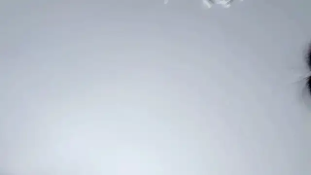 Celestisse- online show from November 2025 05:54:01 AM