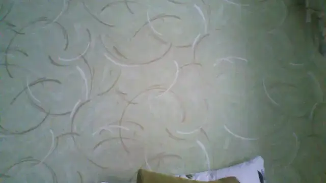 ClaireShannon online show from March 2026 08:20:02 AM