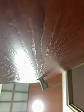 Dafne se online show from January 2026 12:36:01 AM