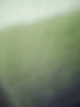 HKOOOH80 online show from November 2025 11:40:01 PM