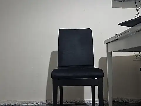 theseman028 online show from November 2025 05:26:01 PM