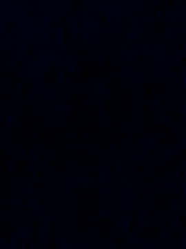 THEKNGHOT online show from November 2025 11:02:01 AM