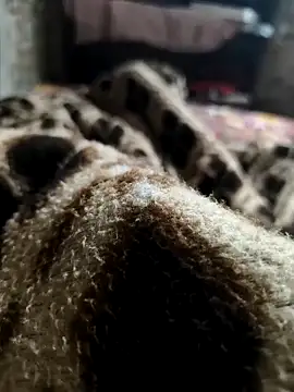 Mahi-Aman online show from December 2025 02:42:01 AM