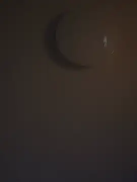 DutchMiracle26 online show from April 2026 11:10:01 PM