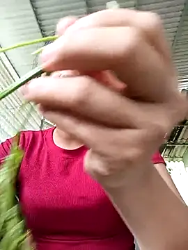 Pretty-haert online show from April 2026 02:51:01 AM