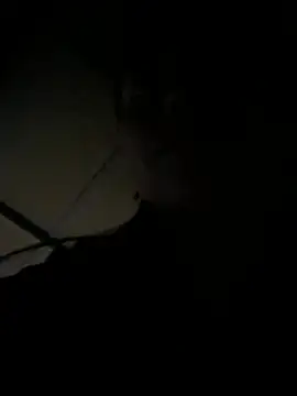 Snapshot of Lilik2 chatting on February 2026 11:35:01 PM Lilik2 online show from February 2026 11:35:01 PM