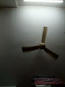 shilpa-singh online show from March 2026 05:20:01 PM