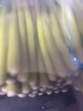 Snapshot of Ghost-Zero chatting on March 2026 11:59:02 AM Ghost-Zero online show from March 2026 11:59:02 AM