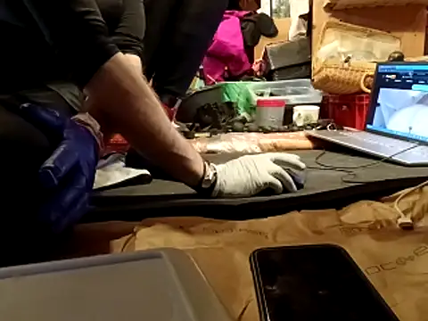 laaralatexxa BDSM online show from March 2026 04:08:02 AM