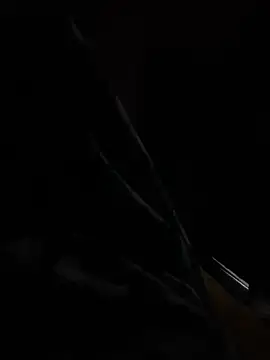 hot8veera online show from December 2025 12:32:02 PM