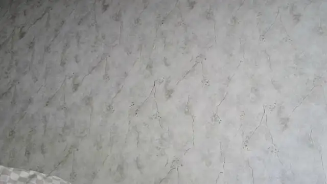 AliceWonderLure online show from December 2025 09:18:02 AM