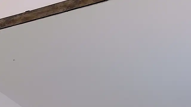 LucyHanks online show from February 2026 03:42:02 PM