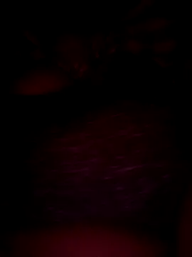 pihuu1313 online show from February 2026 07:58:02 PM