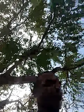 Snapshot of Andreskelly chatting on March 2026 03:15:02 PM Andreskelly online show from March 2026 03:15:02 PM