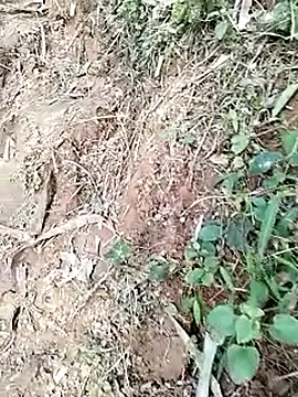 Snapshot of neko-nancy chatting on January 2026 09:02:01 AM neko-nancy online show from January 2026 09:02:01 AM