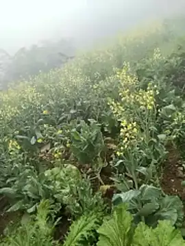 Snapshot of neko-nancy chatting on February 2026 02:59:02 AM neko-nancy online show from February 2026 02:59:02 AM