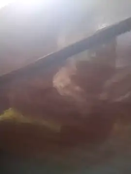 Snapshot of neko-nancy chatting on February 2026 02:24:02 PM neko-nancy online show from February 2026 02:24:02 PM