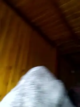 Snapshot of neko-nancy chatting on February 2026 02:29:02 PM neko-nancy online show from February 2026 02:29:02 PM