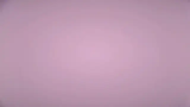 LexiMoss online show from April 2026 02:09:02 PM