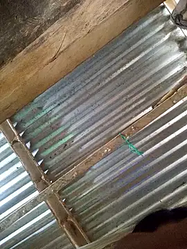 Rousse uwu online show from January 2026 05:15:01 PM