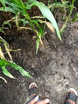 loki-king-143 online show from February 2026 03:59:01 AM