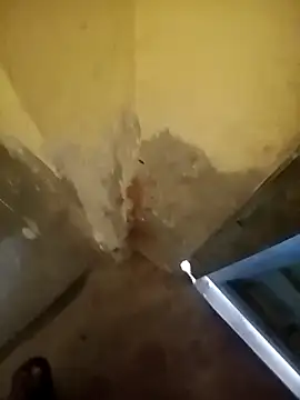 Snapshot of ahannaskar228 chatting on December 2025 09:17:01 AM ahannaskar228 online show from December 2025 09:17:01 AM