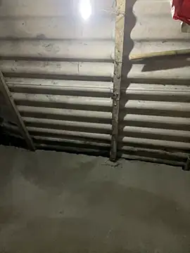 Nika-be online show from March 2026 11:43:02 AM