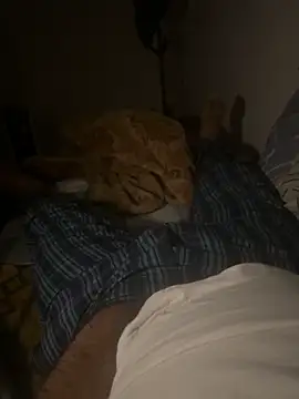 Night outcam online show from February 2026 07:20:02 PM