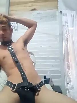 twobigscock23 online show from February 2026 03:12:01 PM