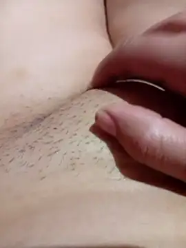 NOR-67 online show from January 2026 08:41:02 AM