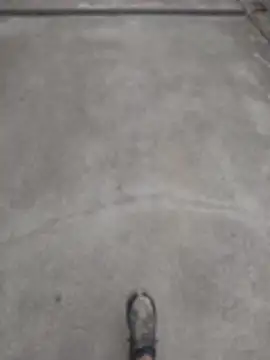 SnappedHagfish online show from June 2026 05:25:01 PM