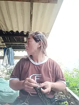 seacyre online show from June 2026 10:01:01 AM