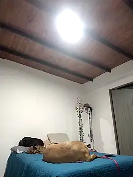 Perfect match19 online show from December 2025 11:24:02 PM