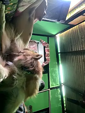 Fixvyusv online show from January 2026 05:12:02 AM