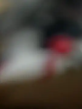 Snapshot of Sammyboii006 chatting on February 2026 06:29:02 AM Sammyboii006 online show from February 2026 06:29:02 AM