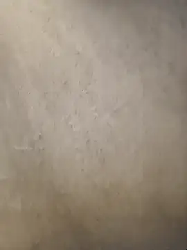 Telugumistress online show from January 2026 12:07:02 PM