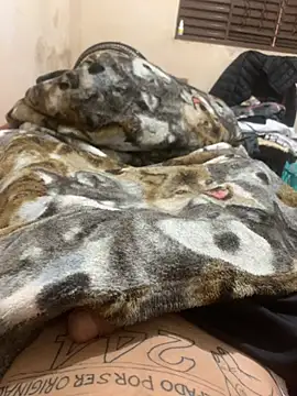 Snapshot of heitorpaugrande chatting on March 2026 01:06:01 PM heitorpaugrande online show from March 2026 01:06:01 PM